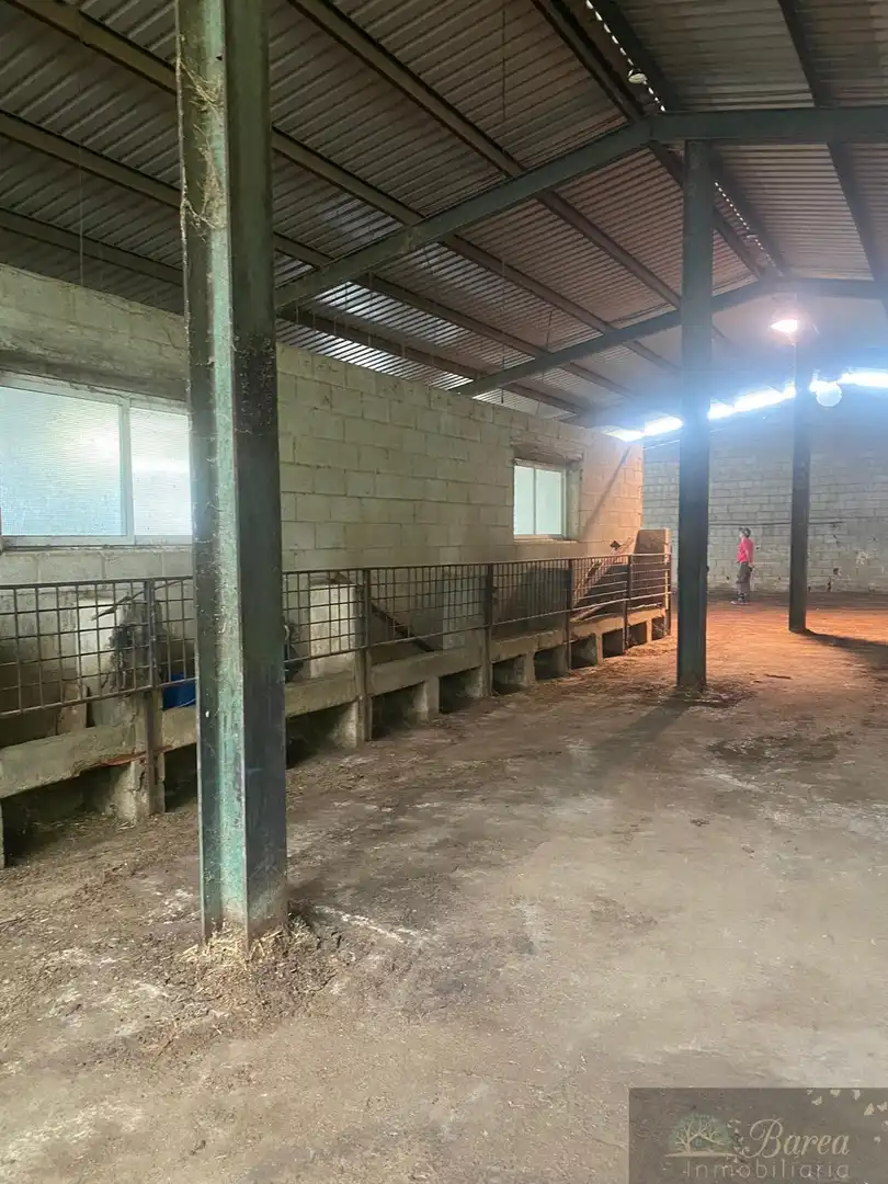 Nave industrial en venta en Rute