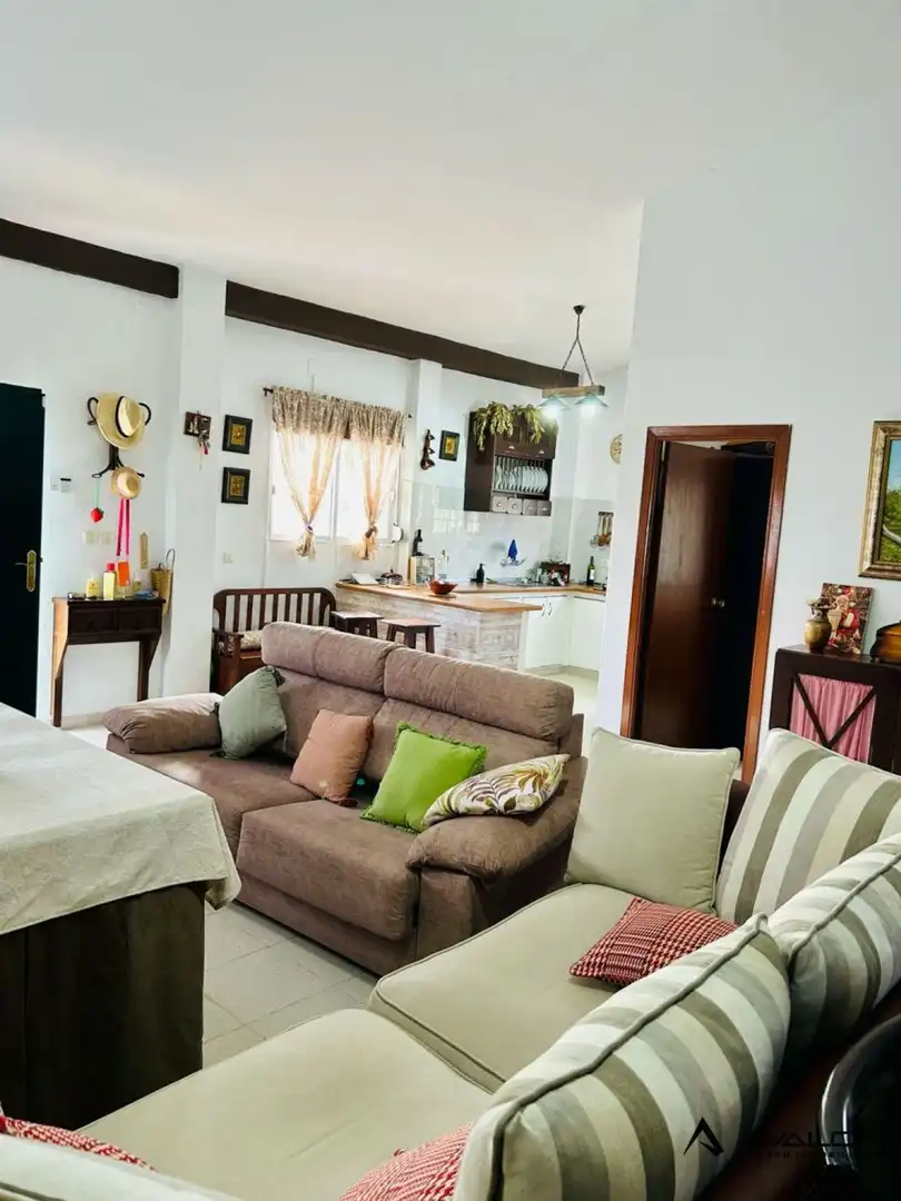 Sala d'estar de Finca rústica en venda en Aljaraque amb Jardí privat, Terrassa i Traster