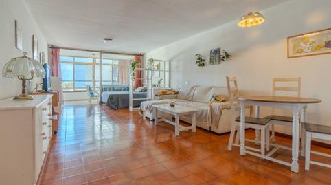 Photo 2 of Study for rent in Avenida Cristobal Colon, 26, Zona Botánico, Puerto de la Cruz