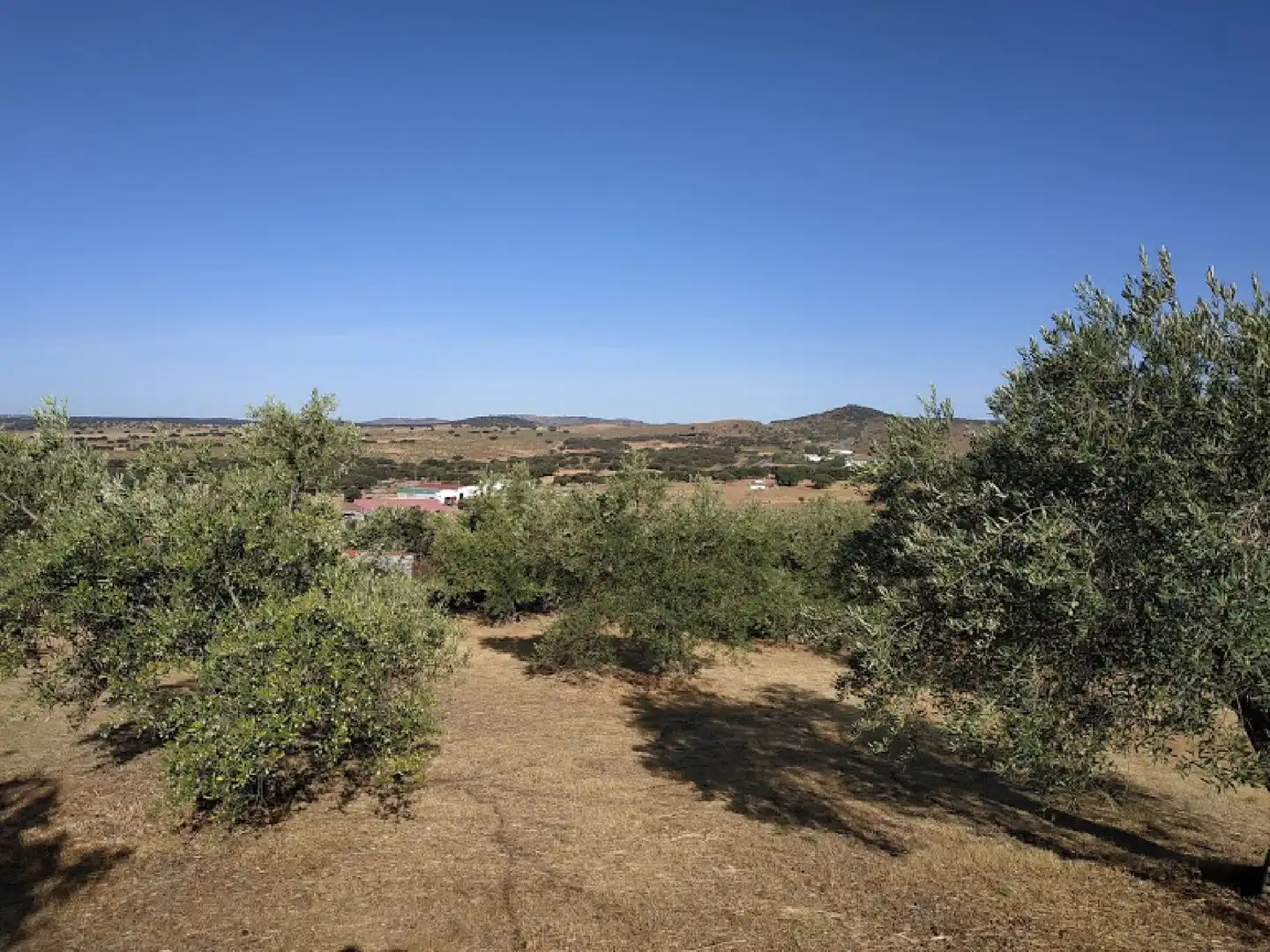 Terreni e lotti in vendita a Malpartida de Plasencia, imagen 5