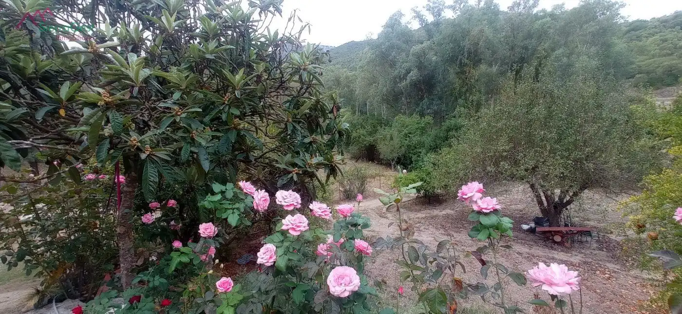 Terreni e lotti in vendita a Benaocaz, imagen 17