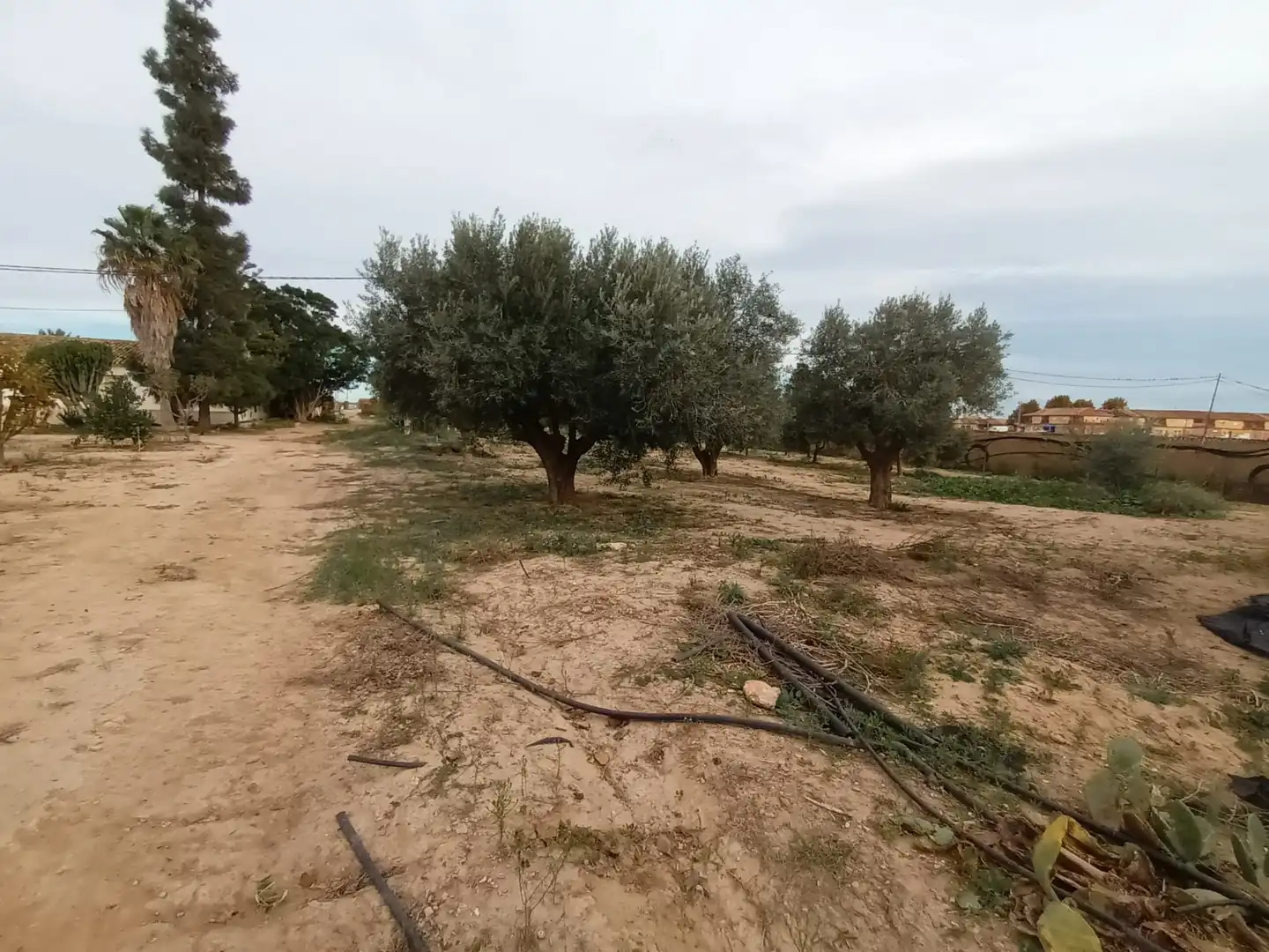 Houses for sale in Torre-Pacheco  with Storage room