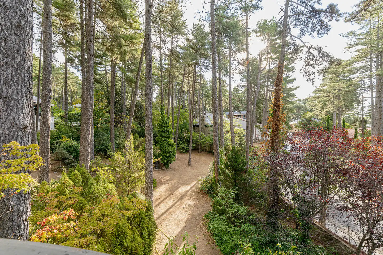 Garden of Houses for sale in San Lorenzo de El Escorial  with Heating, Private garden and Terrace