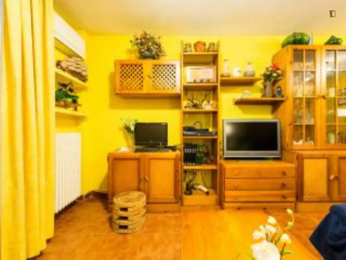 Living room of Apartments for rent in Madrid  with Air Conditioner, Heating and Furnished