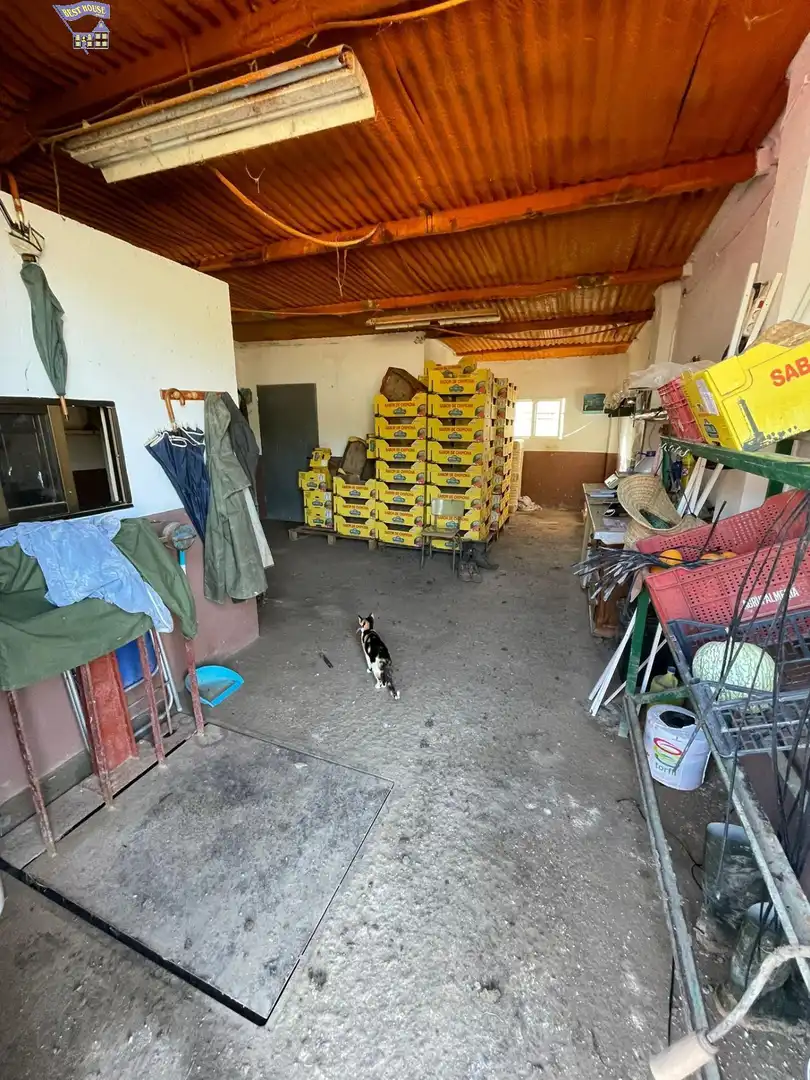 Terreny rústic en venda a Arcos de la Frontera, imagen 6
