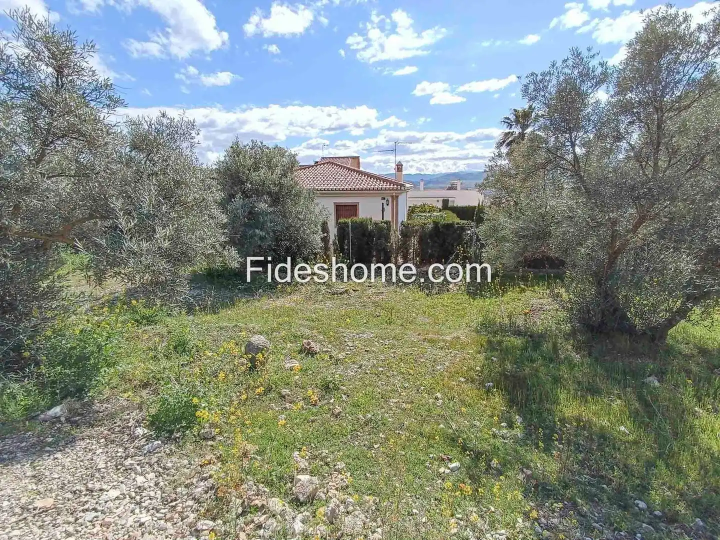Rural land for sale in Calle Gabriel Garcia Marquez 9, imagen 8