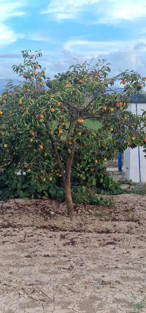 Rustikales Grundstück zum Verkauf in Maracena, imagen 18