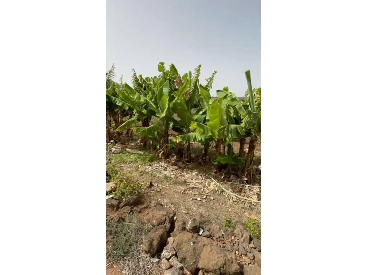 Country house with garden for sale in Plaza el Socorro, imagen 15
