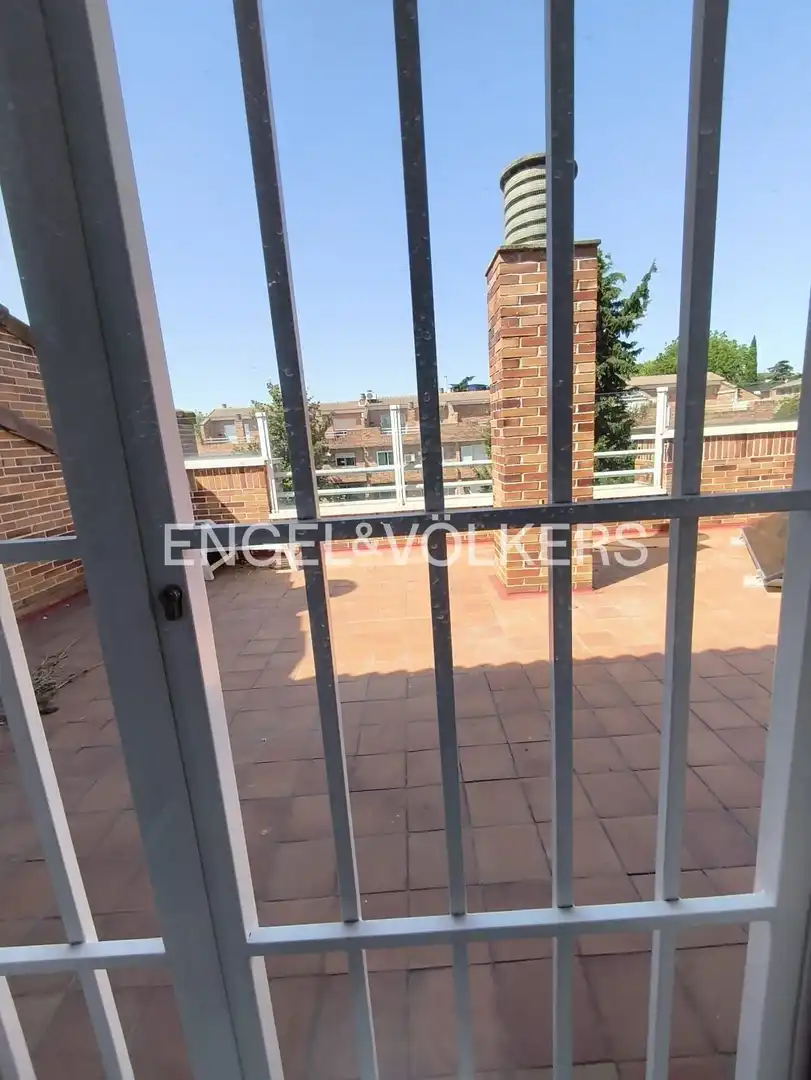 Houses for rent in Palomas