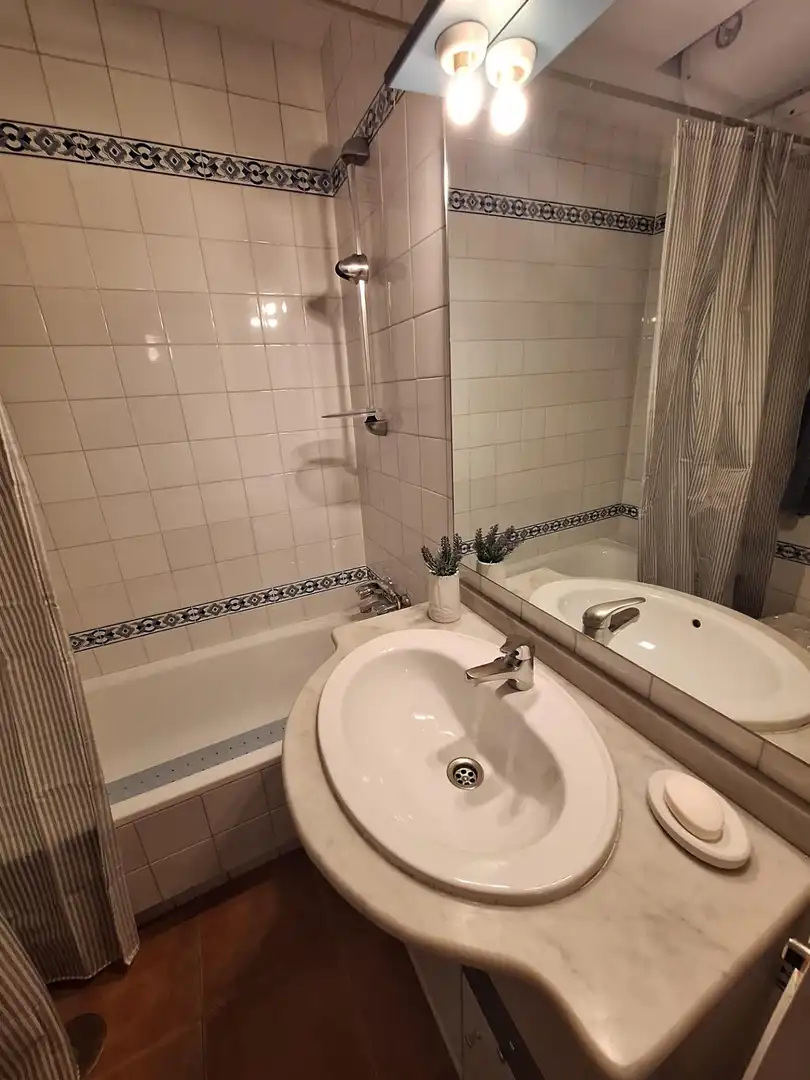 Baño de Piso de alquiler en Sevilla con Aire acondicionado y Amueblado