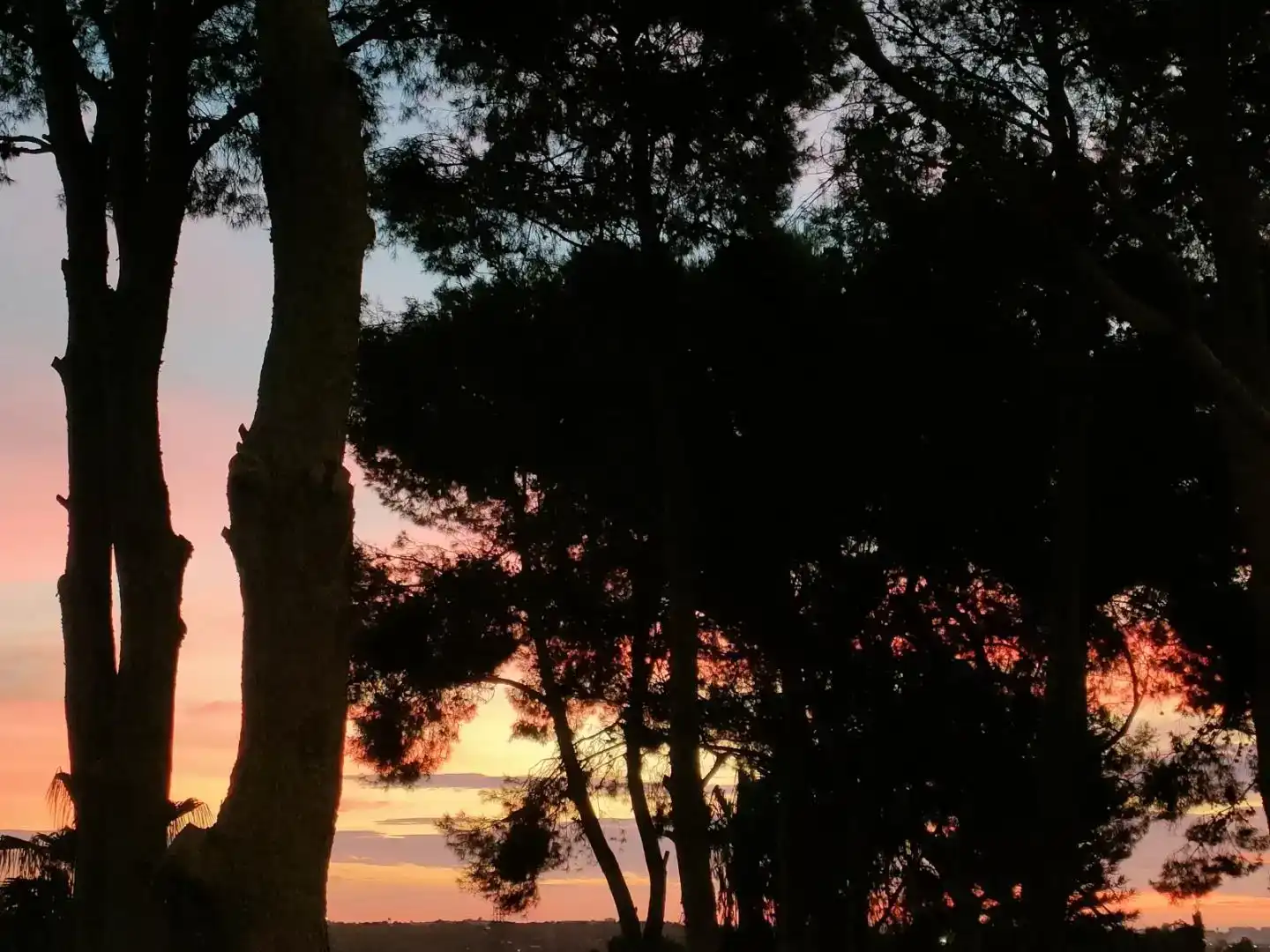 Vista exterior de Finca rústica de lloguer en Manises amb Aire condicionat, Jardí privat i Traster