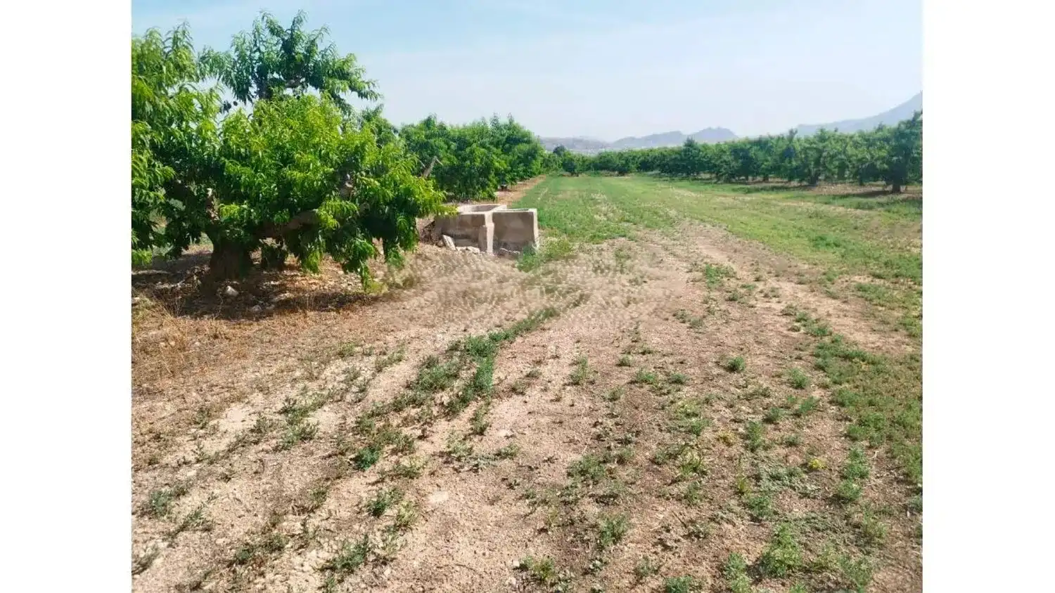 Residencial en venda a N/A, -1, Alhama de Murcia ciudad