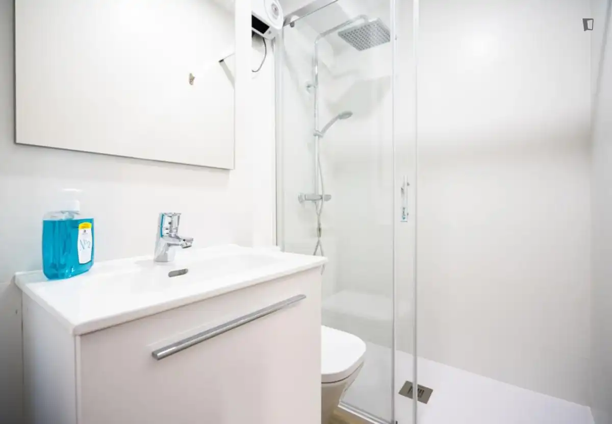 Bany de Apartament de lloguer en Madrid amb Calefacció, Moblat i Forn