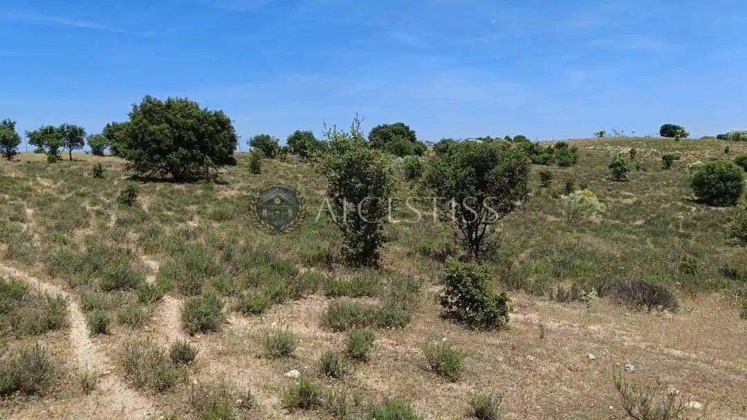 Terreno en venta en La Torre de Esteban Hambrán