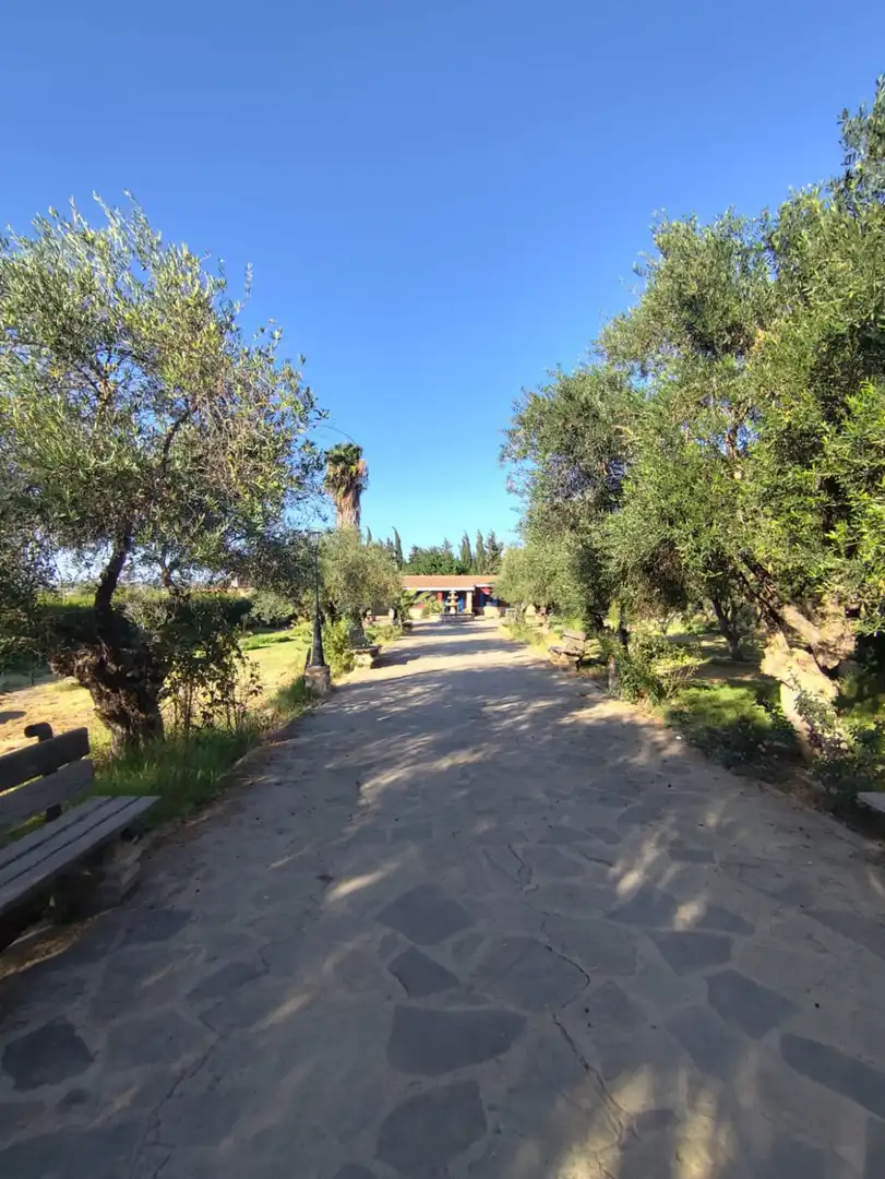 Country house for sale in Don Gil (carril Juan Candil), imagen 26