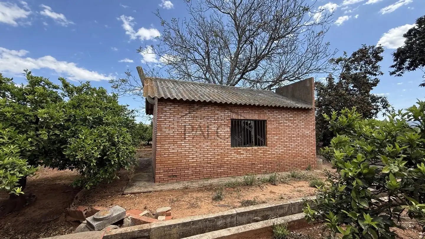Land for sale in Rafelguaraf
