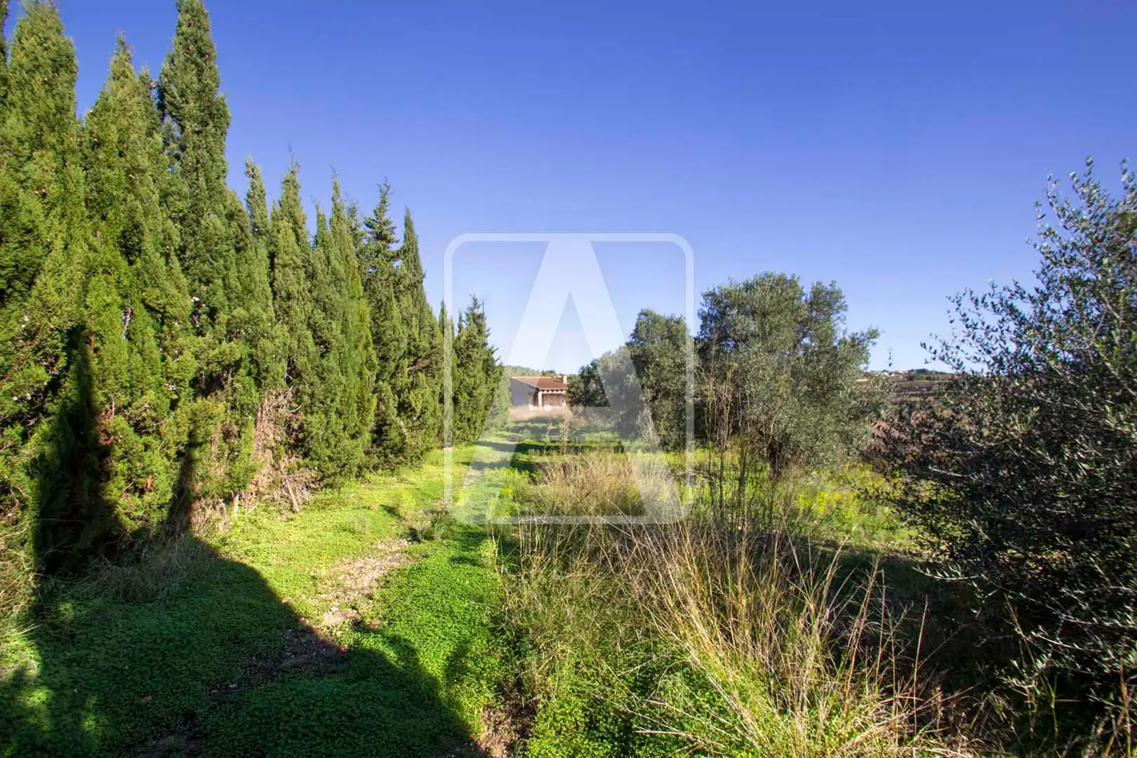Maison rustique avec piscine à vendre à Teulada, imagen 5