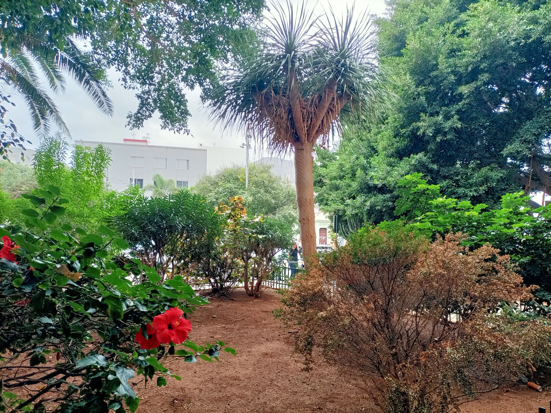 Jardí de Pis en venda en  Santa Cruz de Tenerife Capital amb Moblat i Alarma