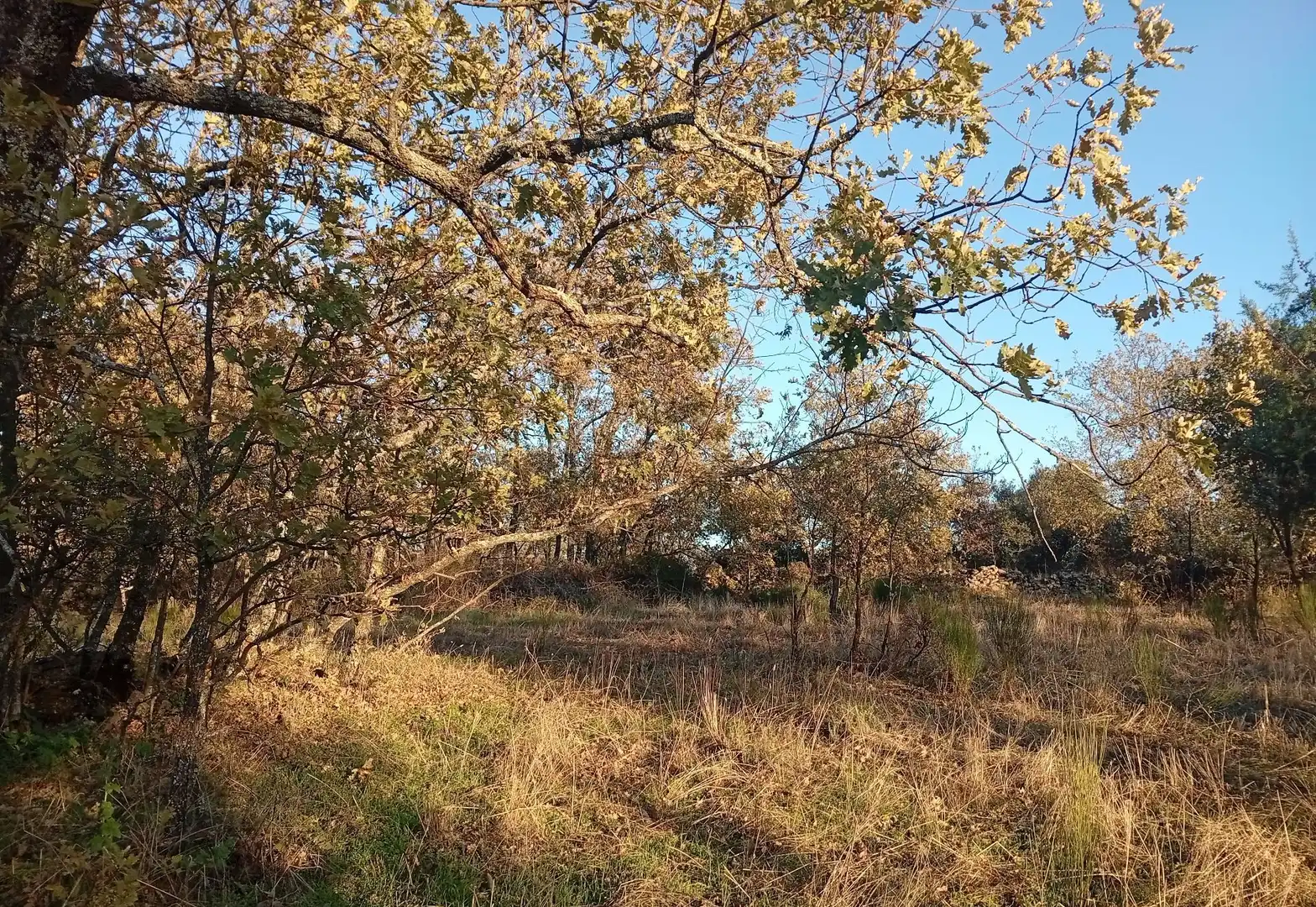 Terreni e lotti in vendita a Viandar de la Vera, imagen 32
