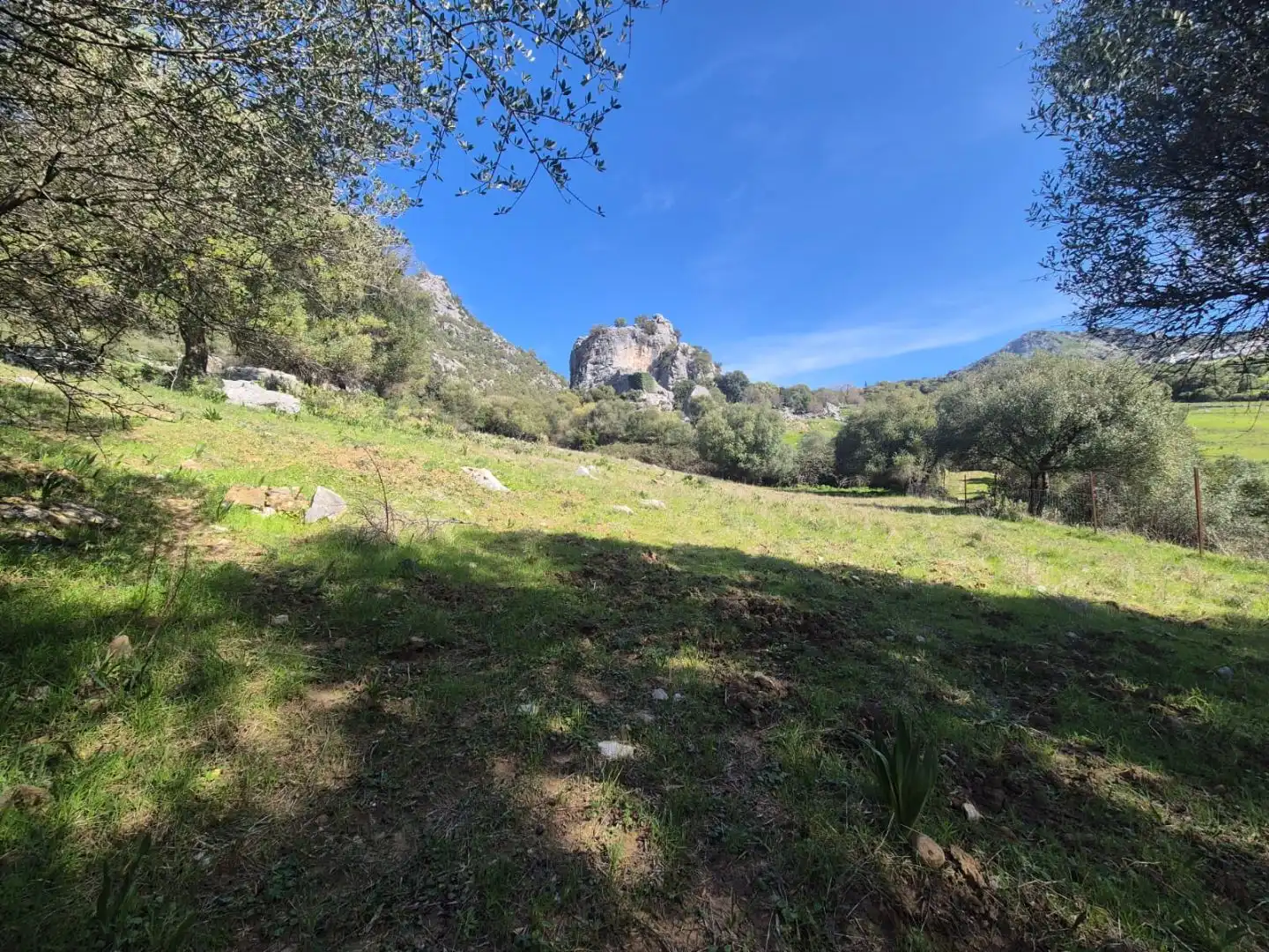 Grundstücke zum Verkauf in Benaocaz