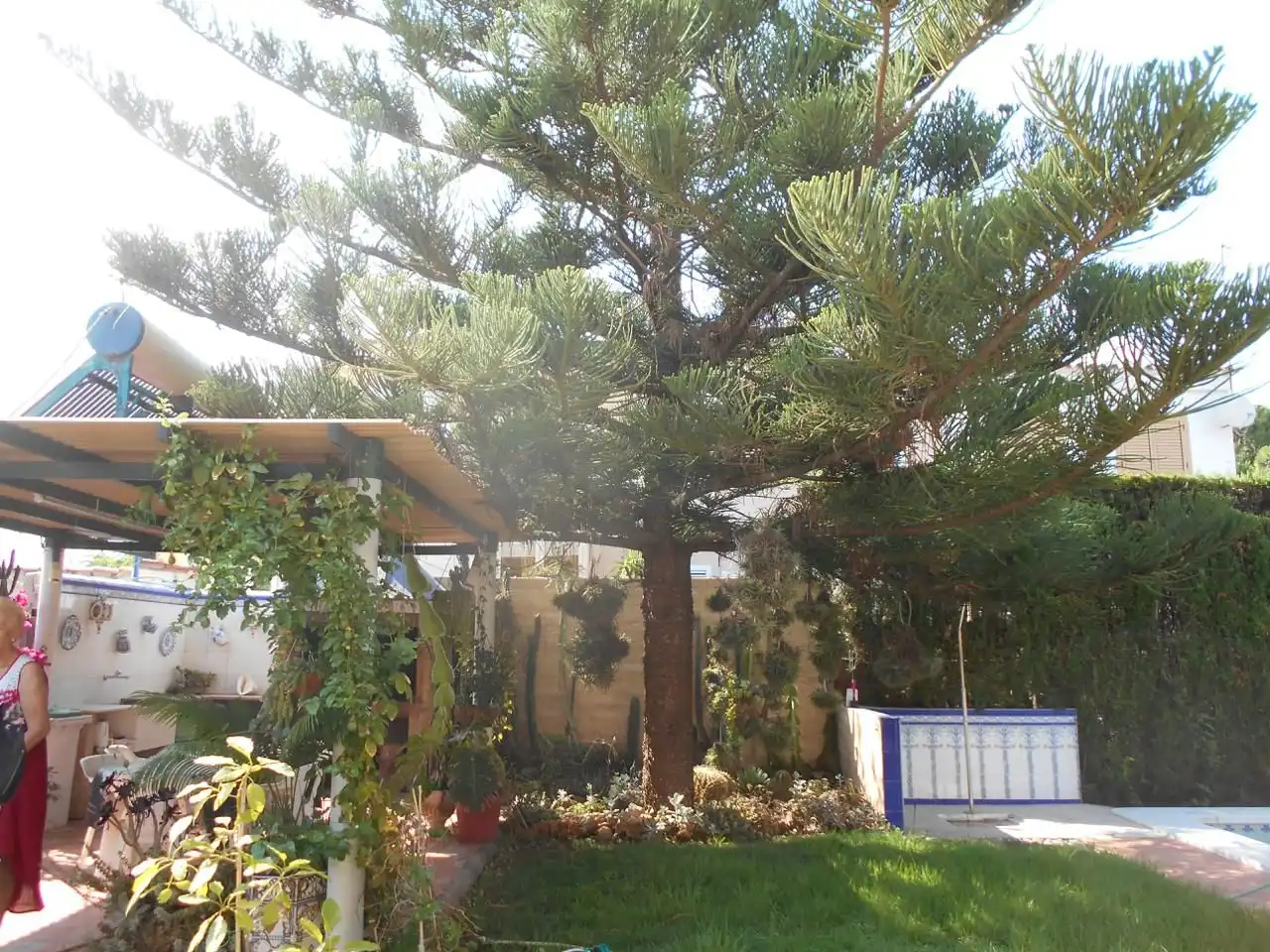 Garden of Houses for sale in Burriana / Borriana  with Air Conditioner, Private garden and Terrace
