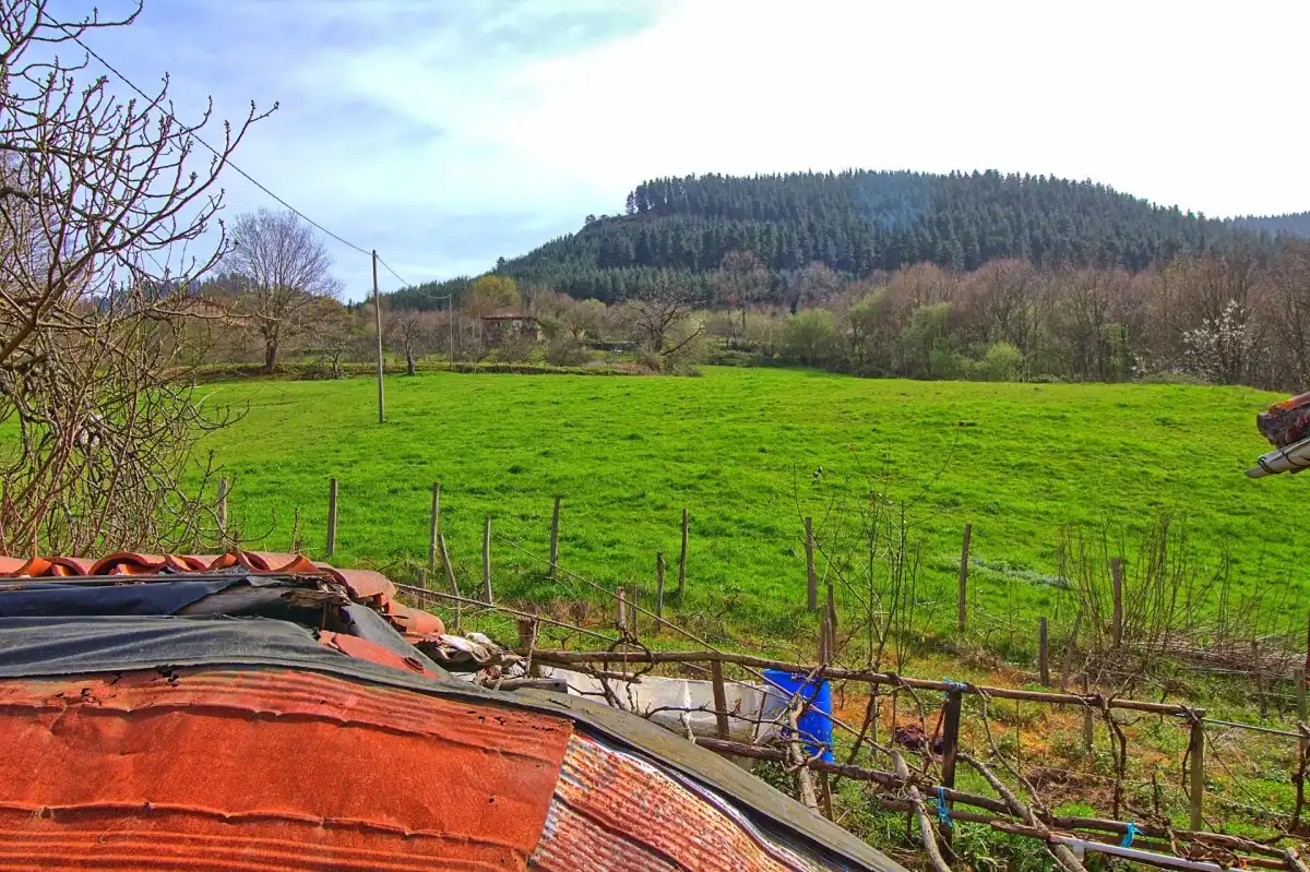 Land for sale in Balmaseda