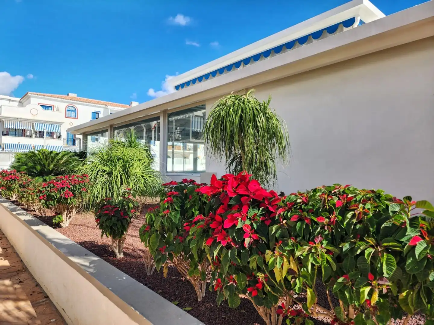 Apartamento con piscina en venta en Mencey Tegueste 20, imagen 53