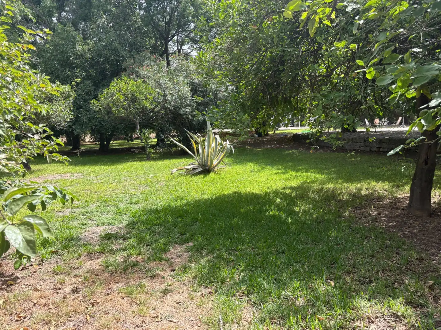 Casa o xalet en venda en Córdoba amb Aire condicionat, Jardí privat i Piscina