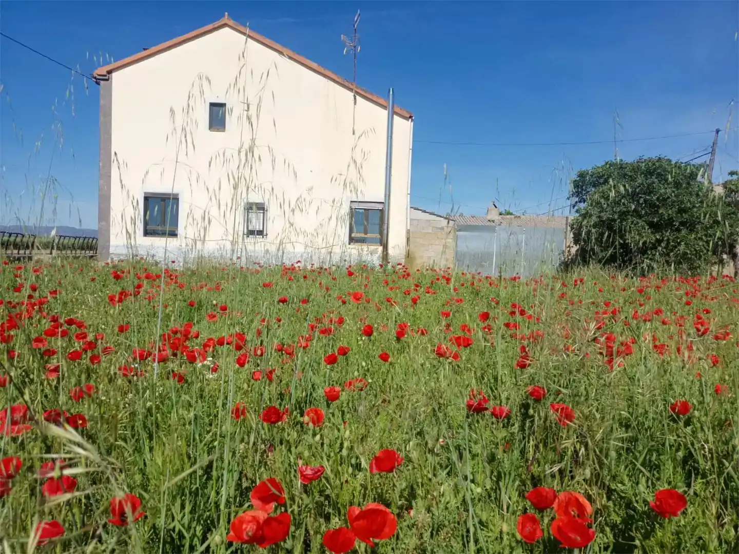 Vista exterior de Casa o chalet en venta en Villamontán de la Valduerna con Jardín privado, Trastero y Amueblado