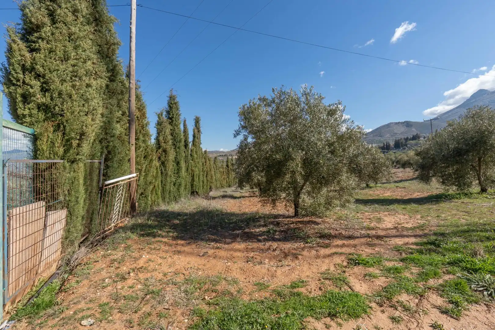 Terreny rústic en venda a Cogollos de la Vega, imagen 18