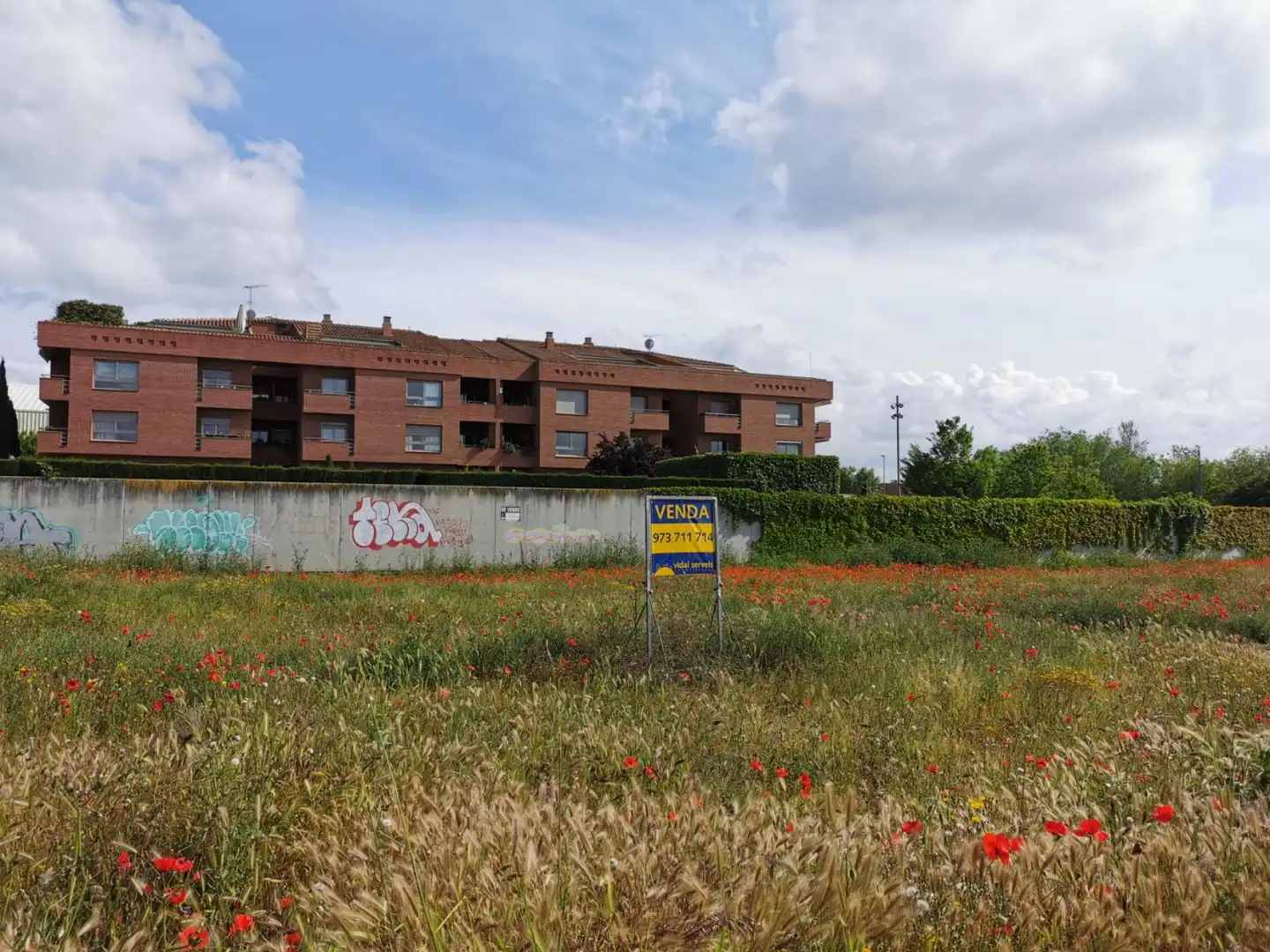 Wohnbaugrundstück zum Verkauf in Torregrossa 11