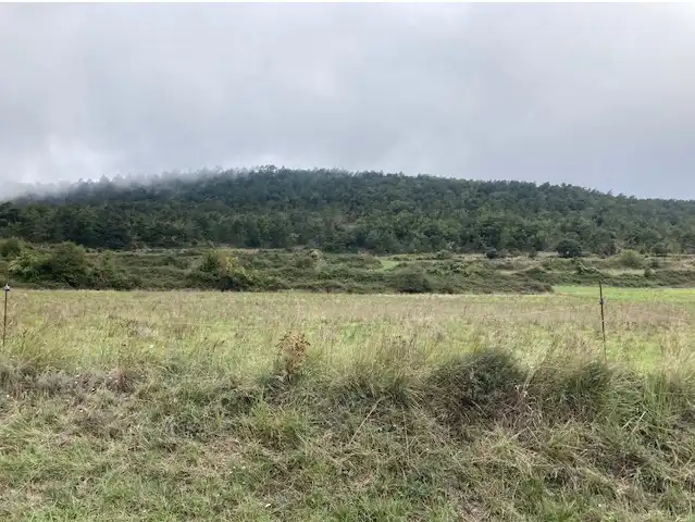 Terrain rustique à vendre à Passeig de la Mussara, imagen 20