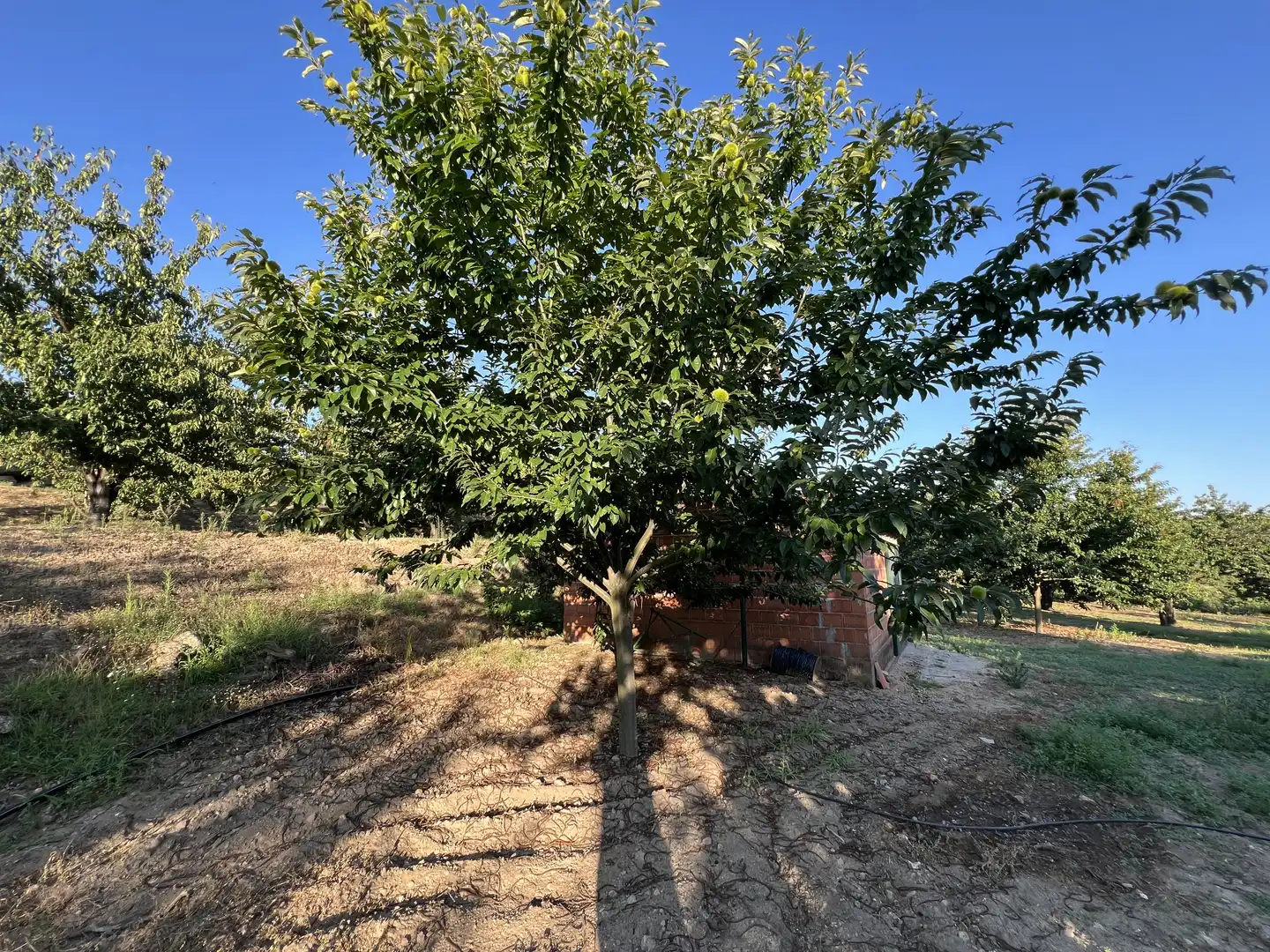 Terreni e lotti in vendita a Garganta la Olla, imagen 14