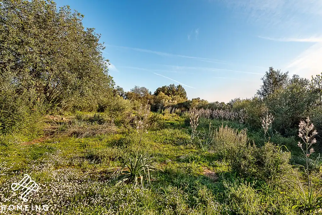 Finca rústica en venda en Algaida amb Terrassa