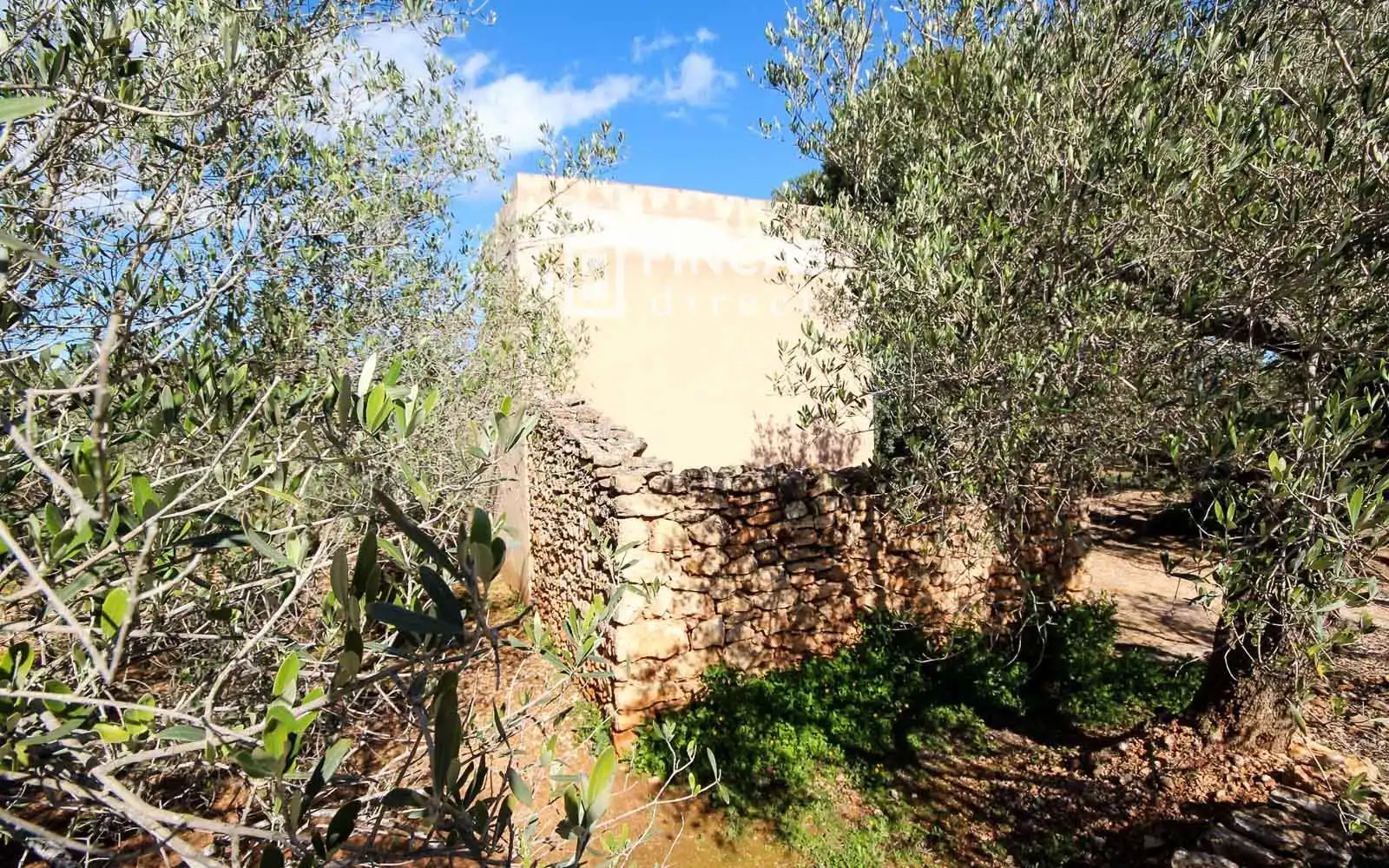 Jardí de Finca rústica en venda en Camarles amb Terrassa i Moblat