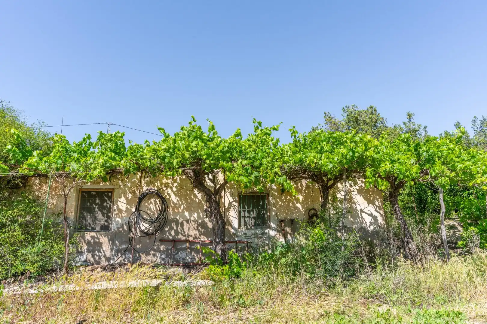 Vista exterior de Terreno en venta en Tíjola