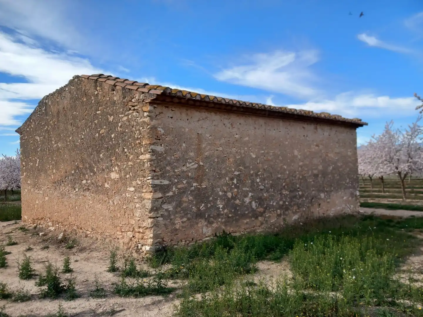 Vista exterior de Terreno en venta en Vila-rodona