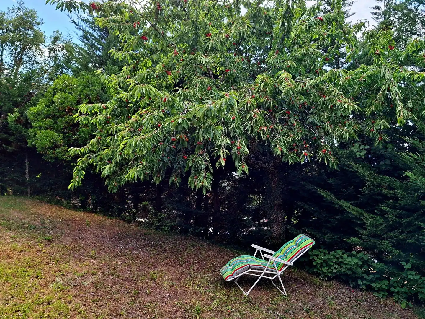 Jardí de Finca rústica en venda en Borrenes amb Terrassa i Balcó