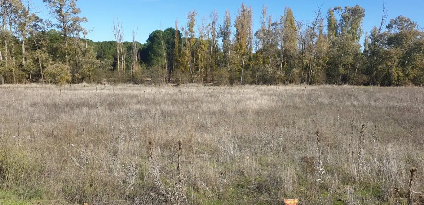 Terreni e lotti in vendita a Aldeamayor de San Martín, imagen 14