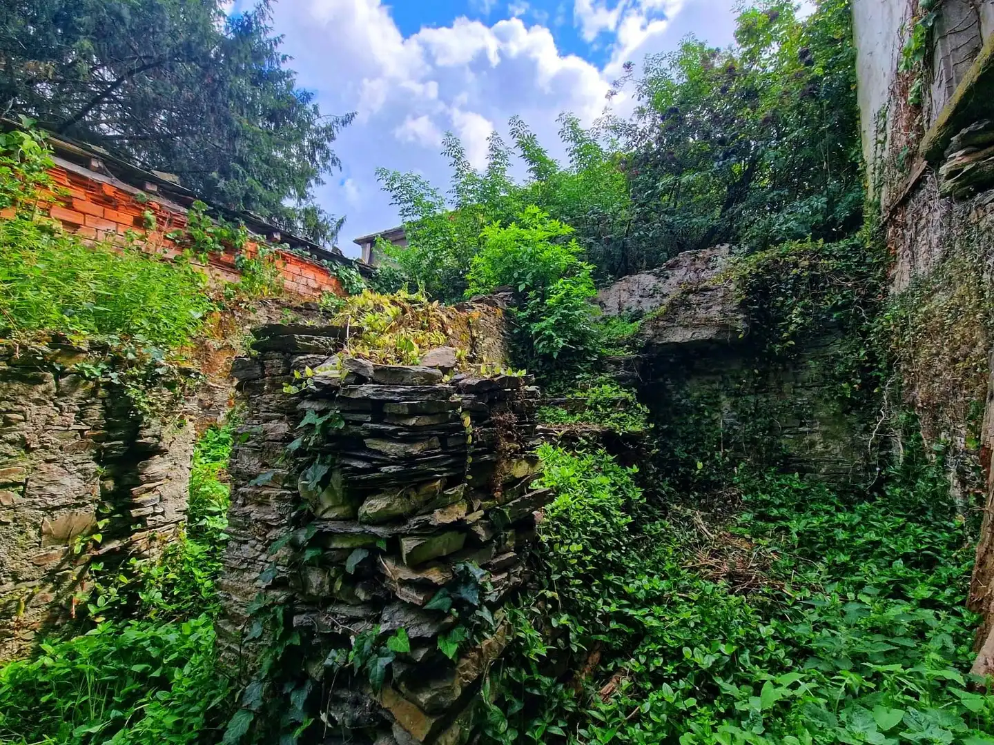 Jardí de Edifici en venda en Vegadeo
