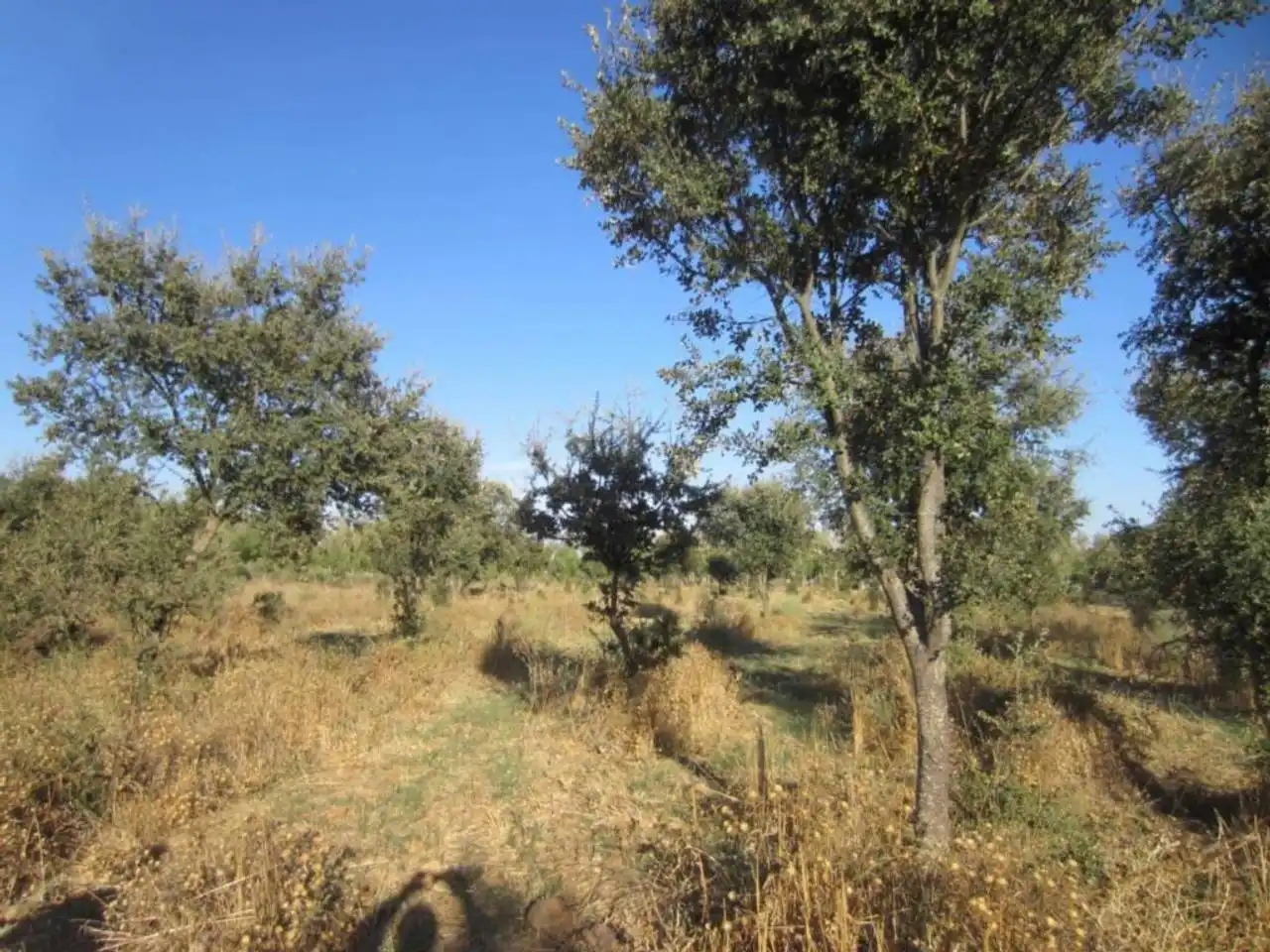 Terreno residencial en venta en Poligono 14, imagen 12