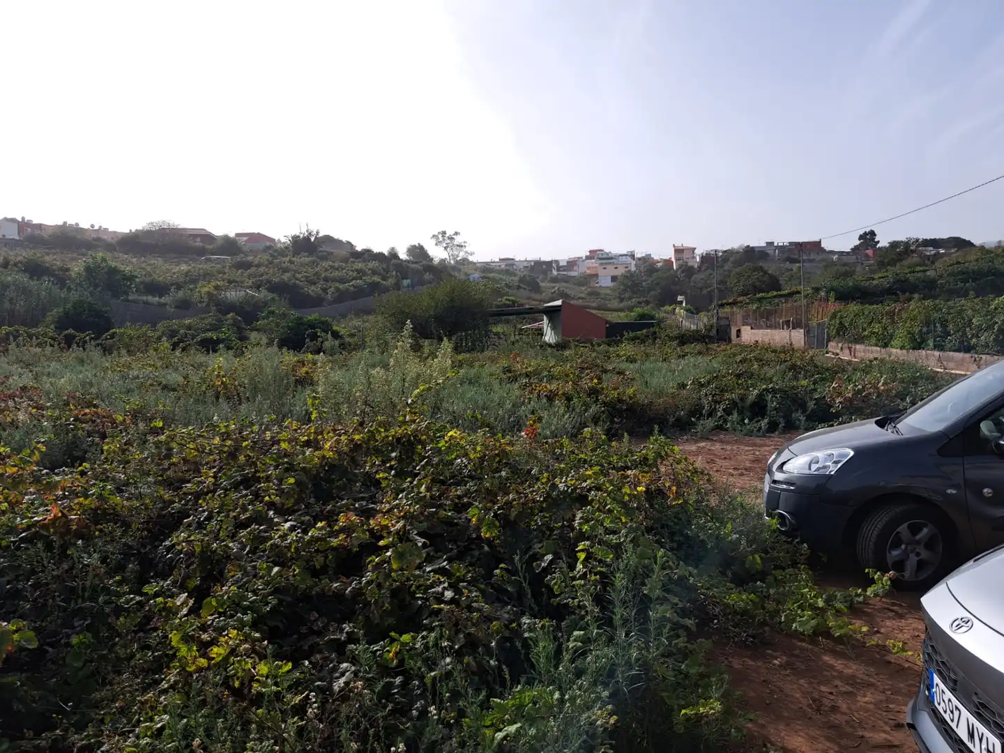 Rural land for sale in Tacoronte - Los Naranjeros, imagen 2