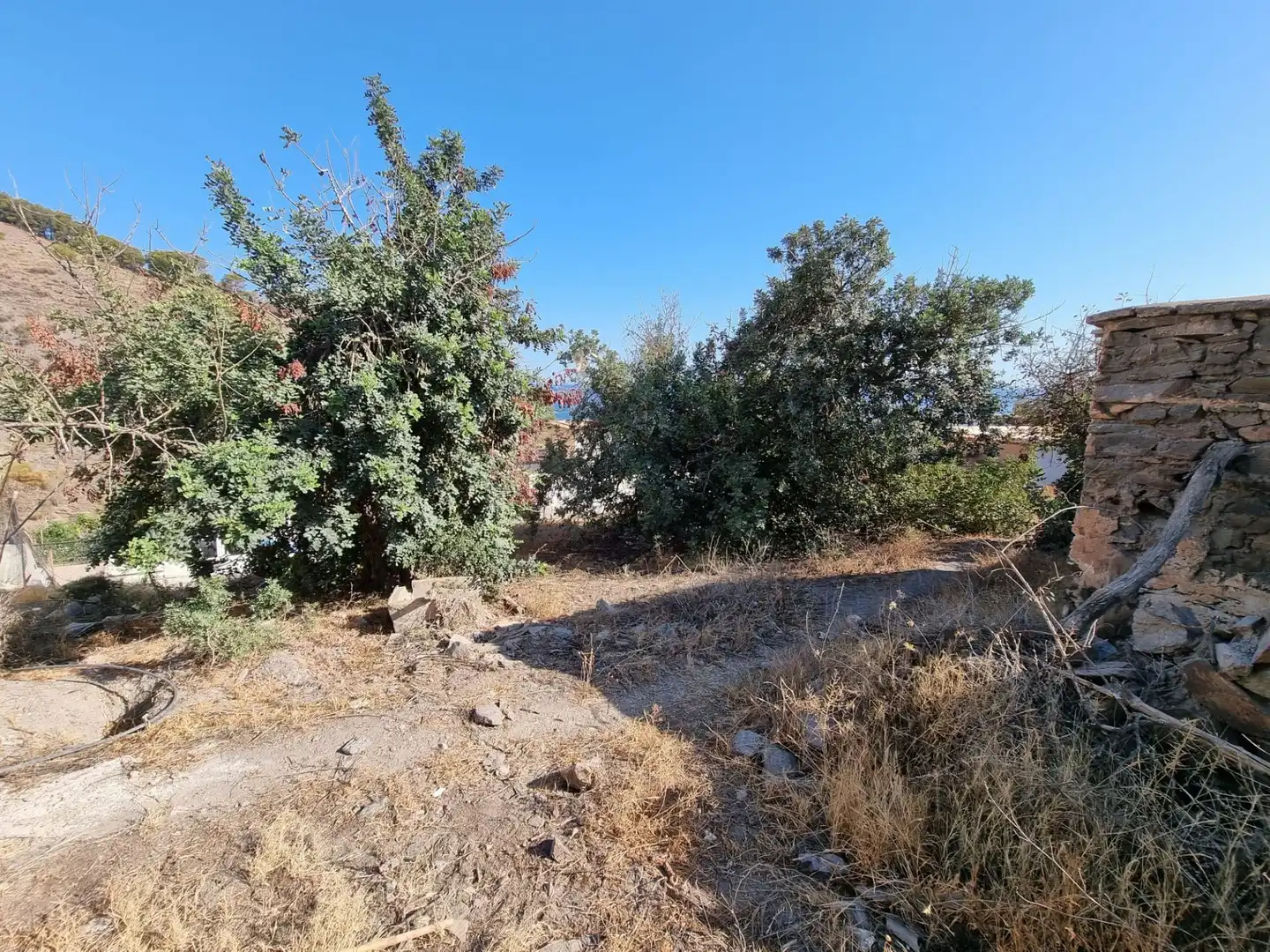 Finca rústica en venta en Sorvilán