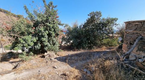 Terreno con vistas en Melicena, imatge 4