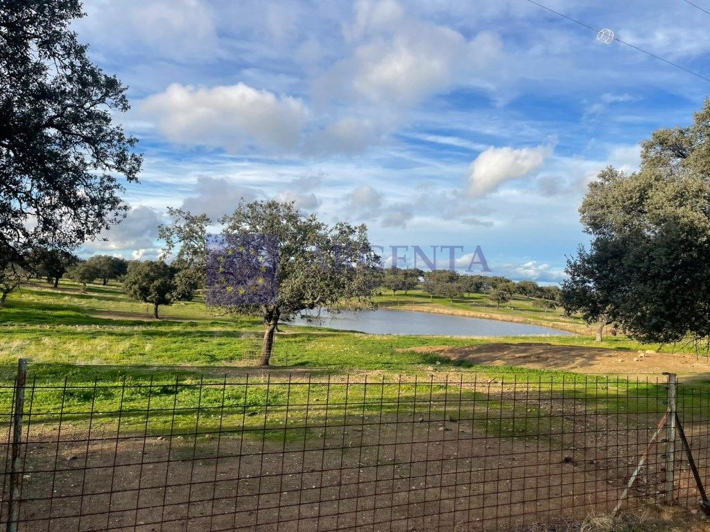Casa o xalet en venda en Aliseda