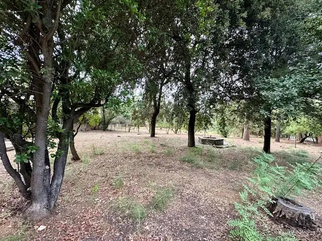 Residencial en venda en Mira-sol