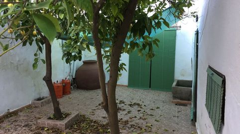 Foto 4 de Finca rústica en venta en Calle Laguna, 6, Castuera, Badajoz