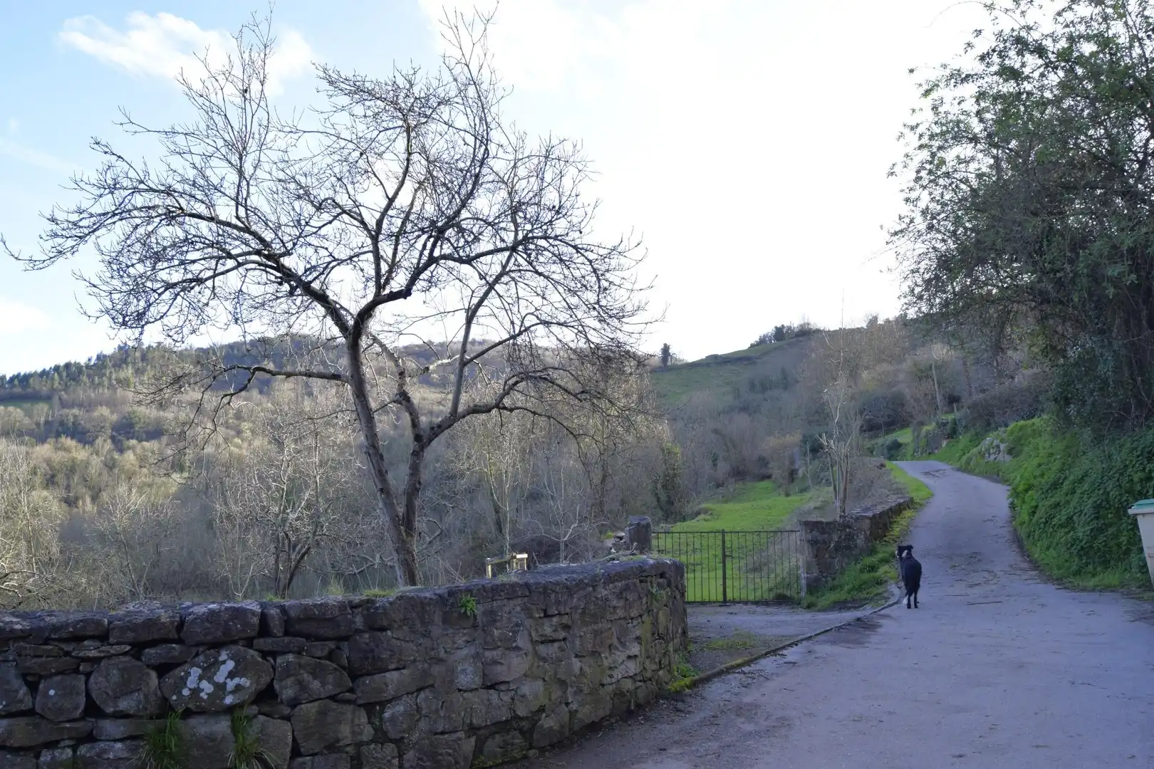 Außenansicht von Country house zum Verkauf in Oviedo 