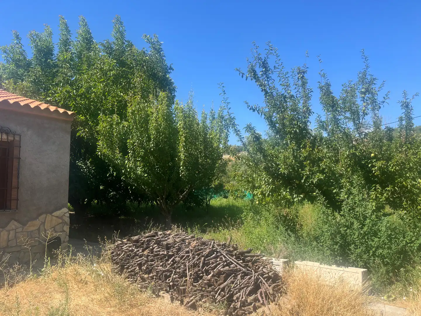 Rustikales Grundstück zum Verkauf in Calle Azahar, imagen 13