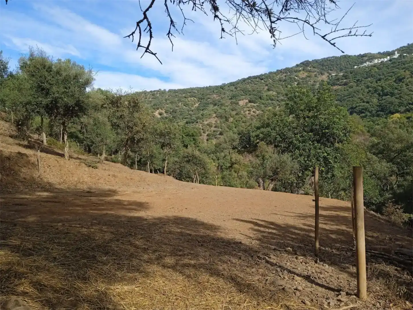 Finca rústica en venta en Genalguacil con Jardín privado